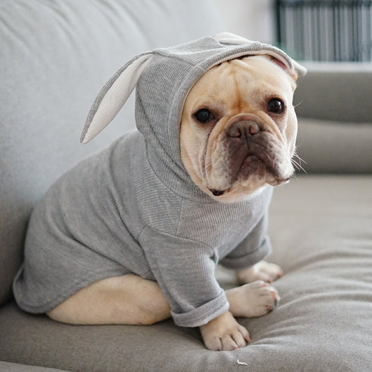 Pooch Bunny Hoodie - Spring & Autumn