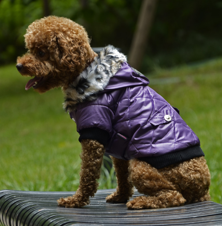 Furry Pooch Coat