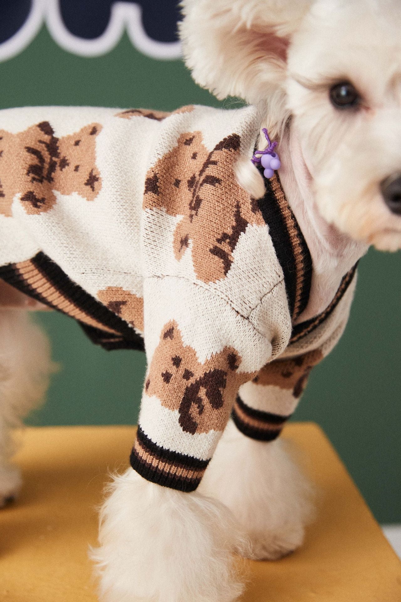 V-neck Sweater Cardigan for Pooches or Cool Kittens