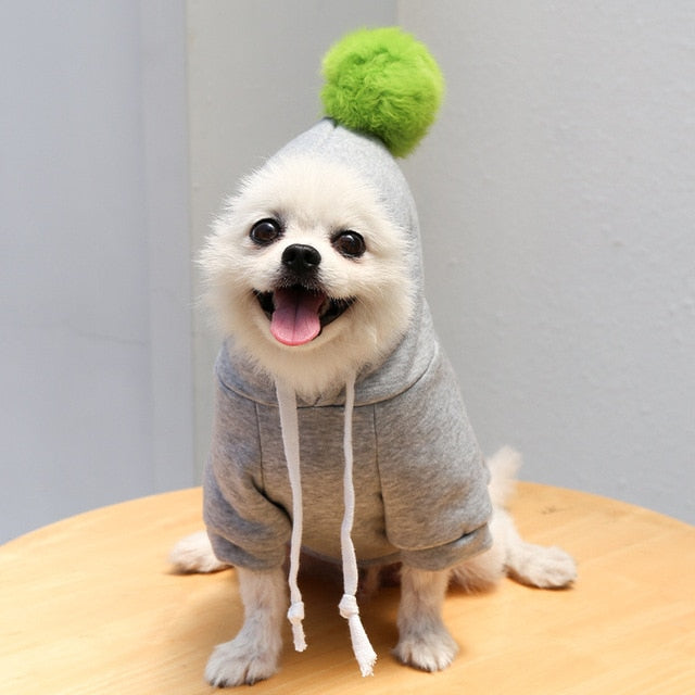 Assorted Pet Coat Hoodies