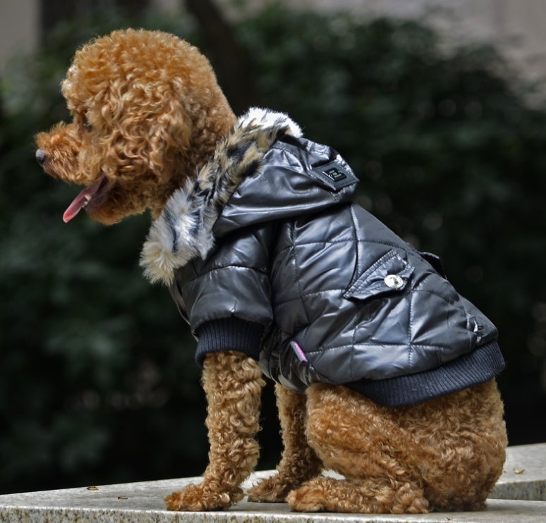 Furry Pooch Coat