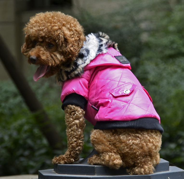 Furry Pooch Coat