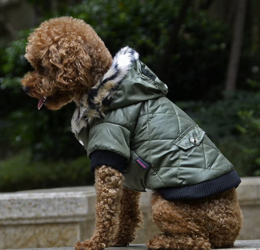 Furry Pooch Coat