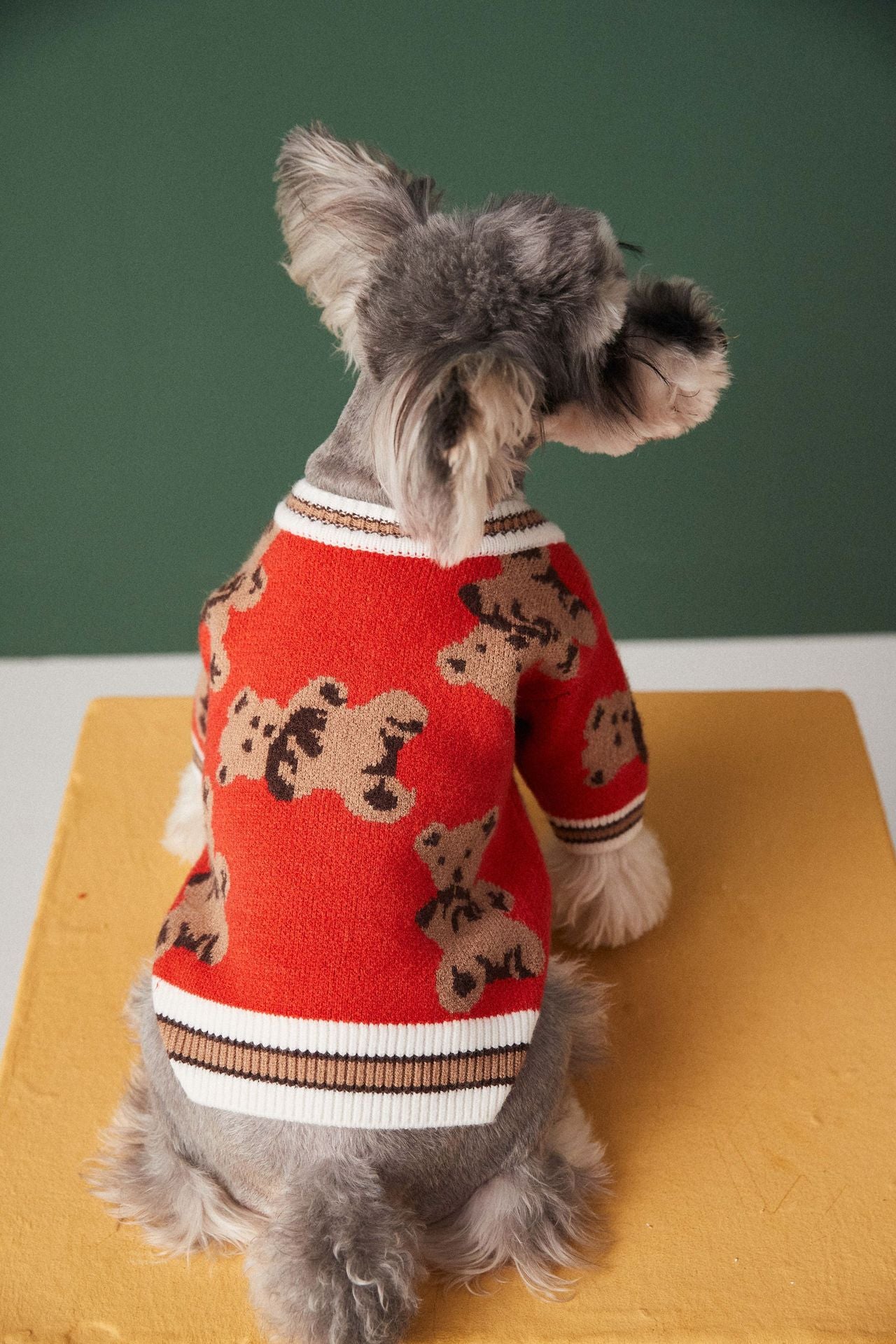 V-neck Sweater Cardigan for Pooches or Cool Kittens