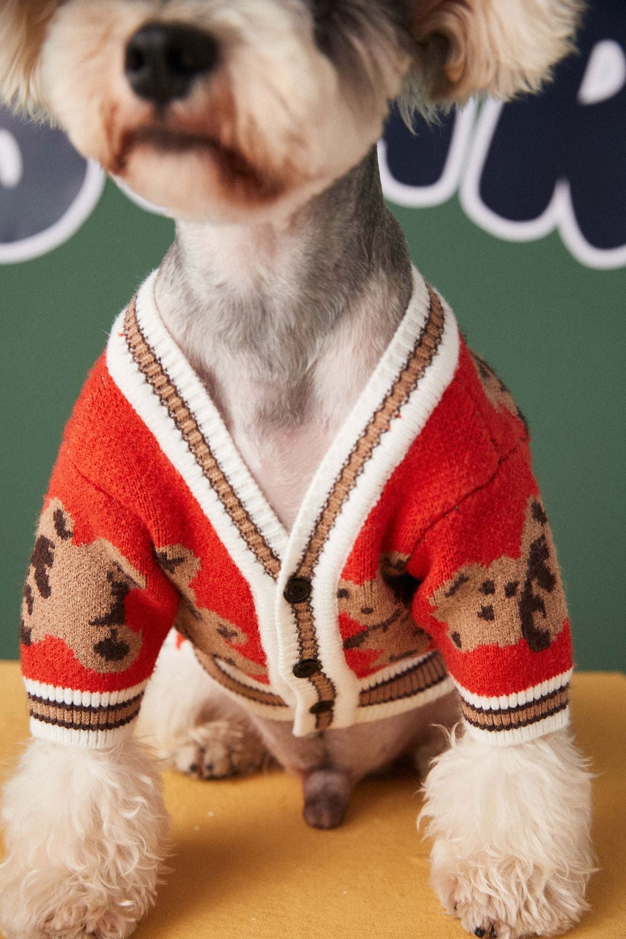 V-neck Sweater Cardigan for Pooches or Cool Kittens