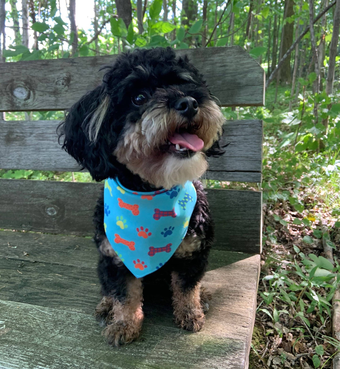 Party Pet Bandana