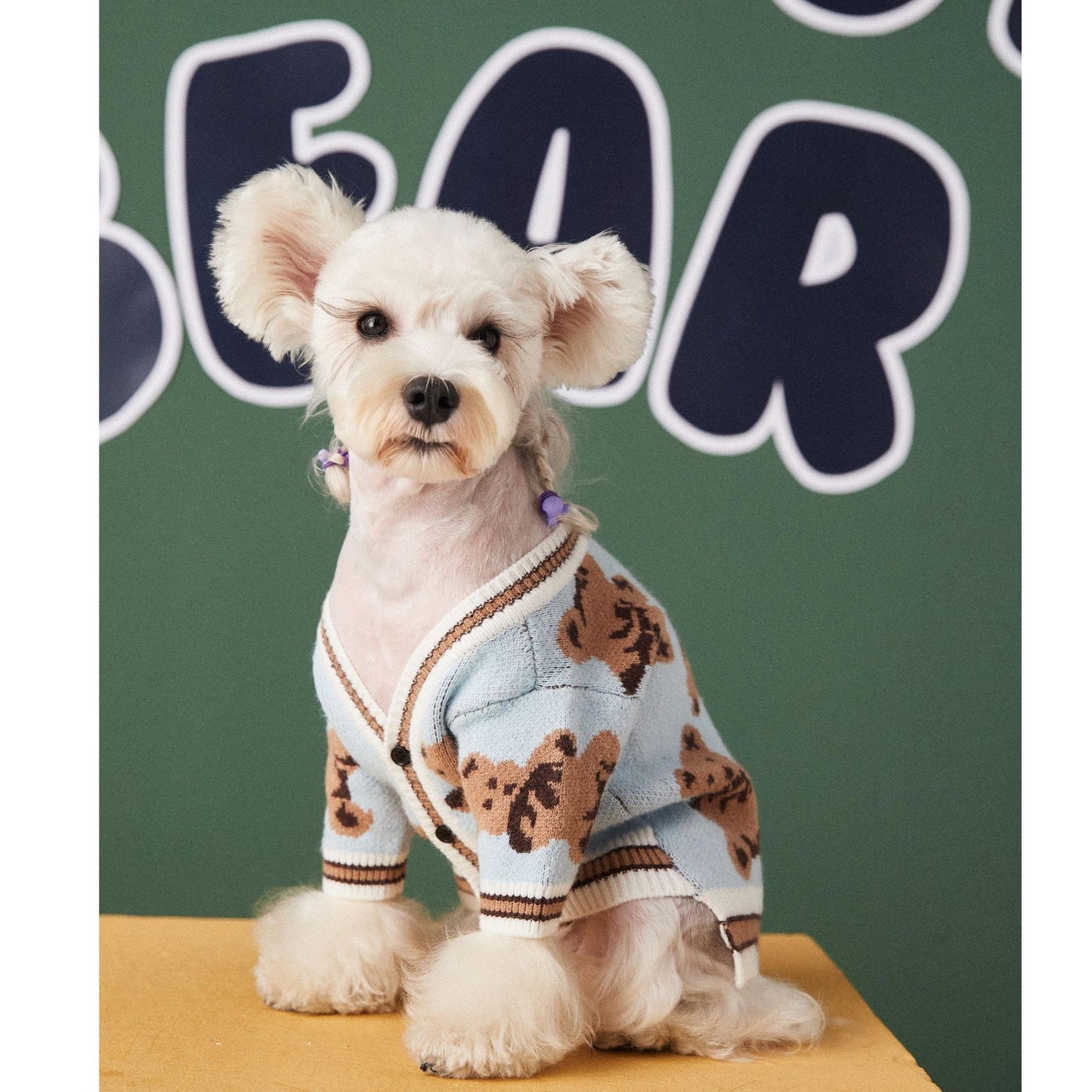 V-neck Sweater Cardigan for Pooches or Cool Kittens