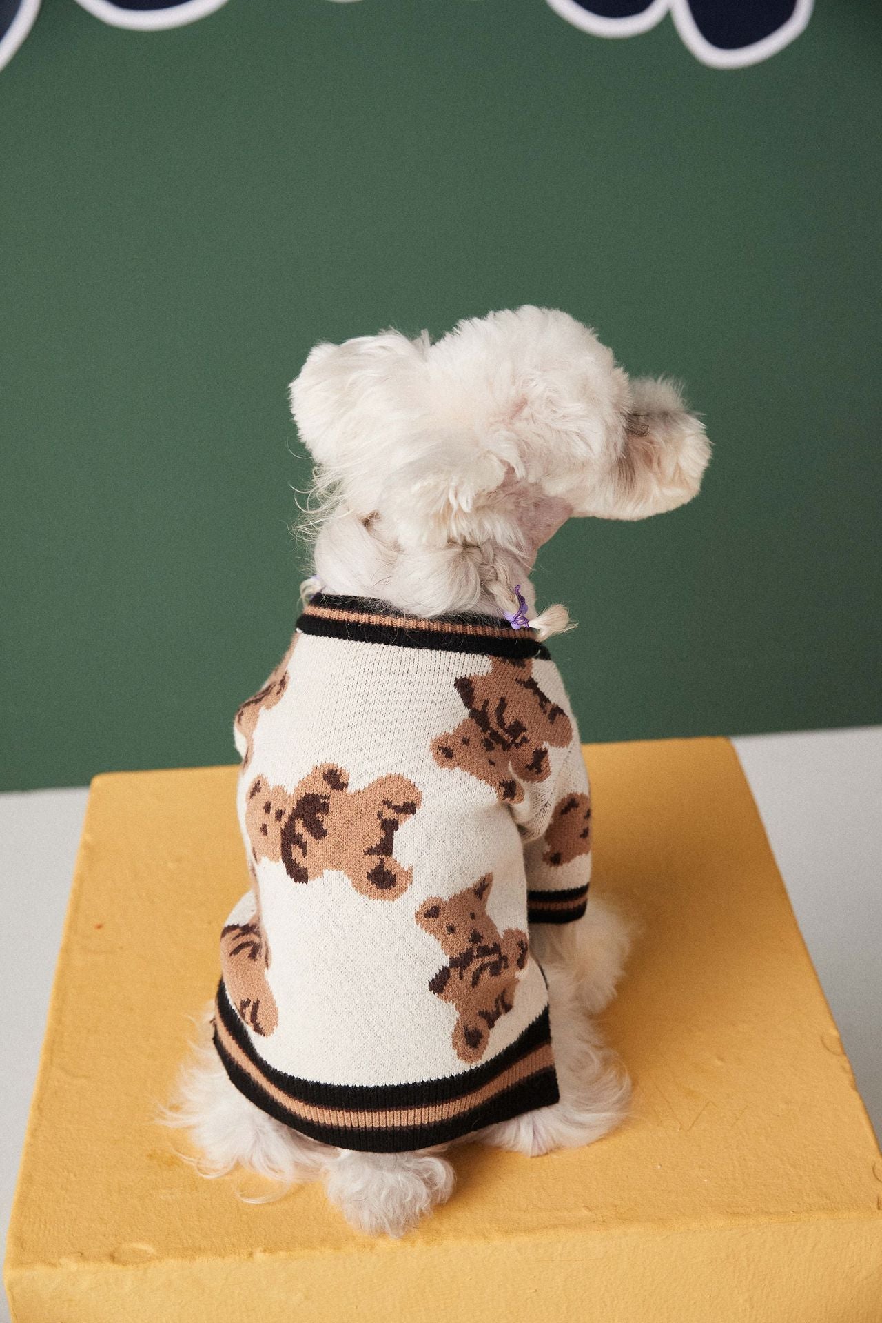 V-neck Sweater Cardigan for Pooches or Cool Kittens