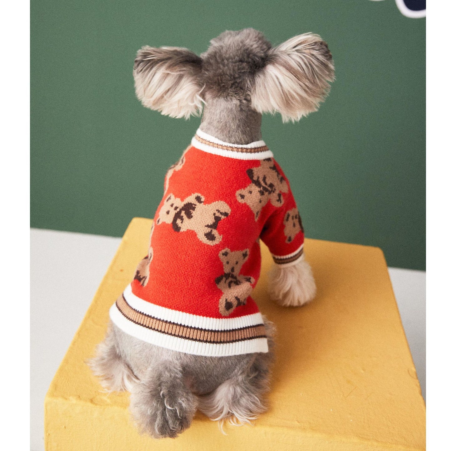 V-neck Sweater Cardigan for Pooches or Cool Kittens