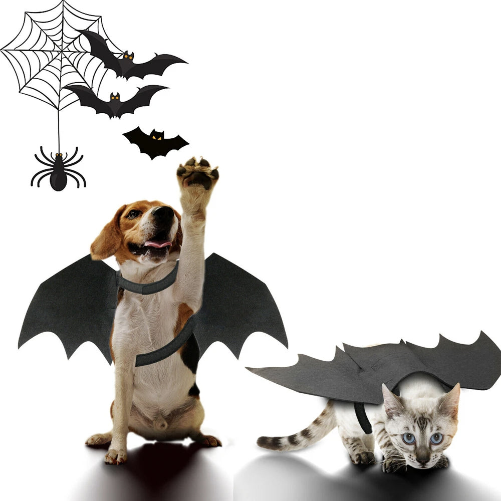 Halloween Pet Bat Wings for Pooches & Cool Kittens