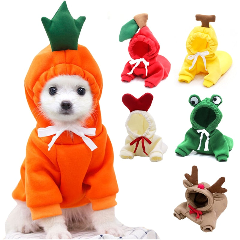 Assorted Pet Coat Hoodies