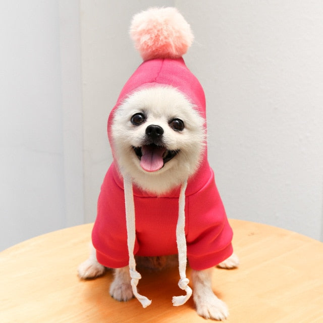 Assorted Pet Coat Hoodies