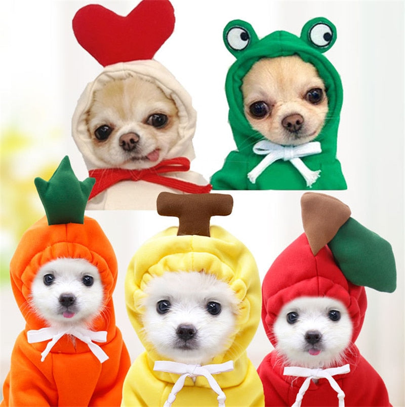 Assorted Pet Coat Hoodies