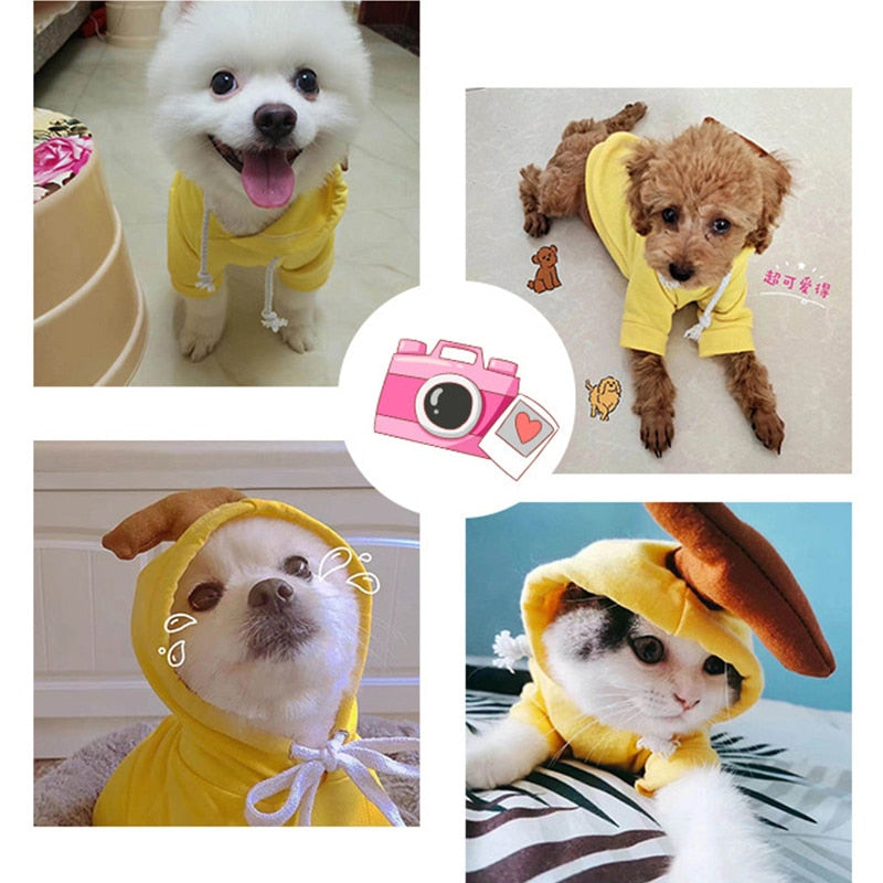 Assorted Pet Coat Hoodies