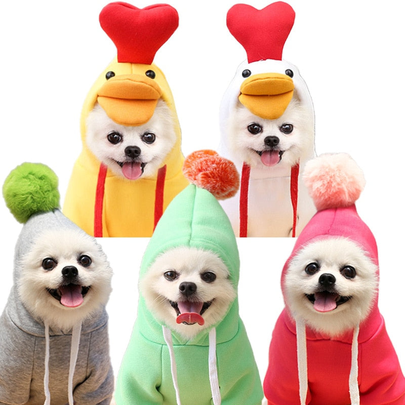 Assorted Pet Coat Hoodies